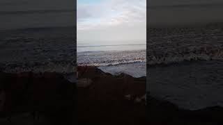 Praia da Rocha beach was covered in seaweed #shorts