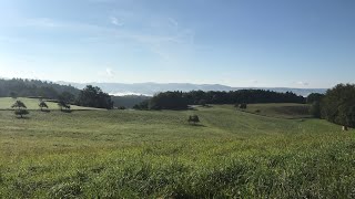 Amazing German countryside // Hiking the Odenwald preview