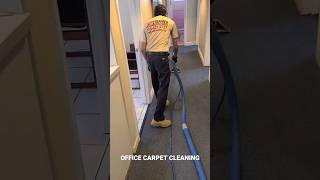 Office Carpet Cleaning in Coral Gables