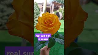 Enjoy the short summer #asmr #happy #satisfying #russia #summer #backyard #shorts #shortvideo