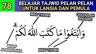 BELAJAR MEMBACA AL QURAN DAN TAJWIDNYA - UNTUK MEMBANTU LANSIA DAN PEMULA BELAJAR TAJWID MUDAH