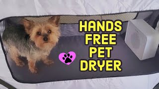 Hands Free Pet Dryer by PetieTec | Yorkie Gets a Bath