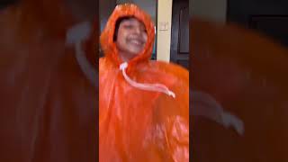 Reva Vs Rain