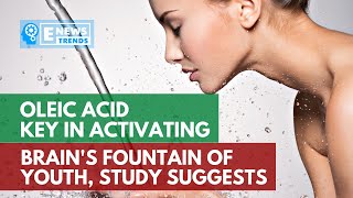 Oleic Acid Key in Activating Brain's Fountain of Youth, Study Suggests