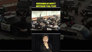 SEGEROMBOLAN MONYET MENYERANG PARA POLISI