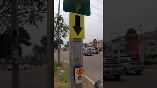 PELICAN CROSSING BOULEVARD GADING SERPONG (2)