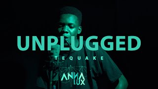 Tequake - UNPLUGGED | WammandArt TV