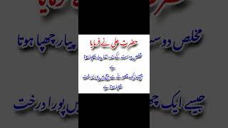 Hazrat Ali quotes #viralvideos #poetry #quotes #urdupoetry #love #sadpoetry #explore #viralvideo #1k