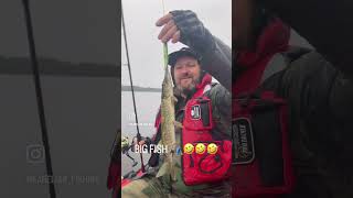 Big fish #рыбалка #рыбалкакарелия #рыбалочка #karelianfishing #karelia