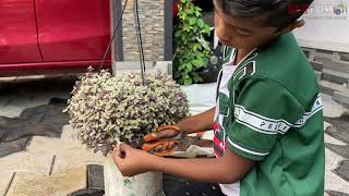 Gardening ideas with PVC Pipe and Coconut shell | ചിരട്ടയും PVC യും കൊണ്ട് അടിപൊളി ഐറ്റം