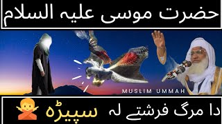 حضرت موسی عليه سلام او دہ مرگ فرشتے ملاقات | Hazart mosa (a.s) waqia pashto new bayan molana idrees