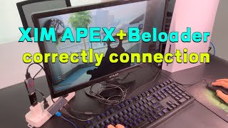 XIM APEX+Beloader correctly connection