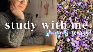 STUDYING FOR FINALS | VLOG | ANKI flash cards, revising notes & life as a Physiotherapy student