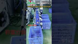 weighing sorting sorter machine for processing #equipment #machine #food #weighingmachine #weighing