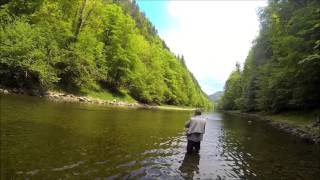 Pêche à la mouche / Découverte du Doubs (zone "Les Graviers" Neuchatel/Suisse)