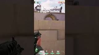 Bigger crosshair equals bigger bullets. Do you agree?