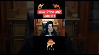 למה הגמל ינקום במישהו? - הרב מנשה אמון במסר קצר וחזק