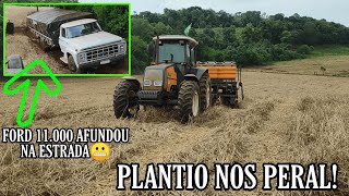 Plantando uns peral! Afundemo o Fordão na estrada!