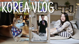 Корейские будни ^^ Перестановка / KOREA VLOG