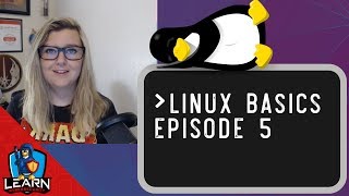 Let's Learn: Linux Basics Episode 5 - Finishing Your First Script