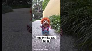 ropa divertida para perros #short #memes #puppycostume