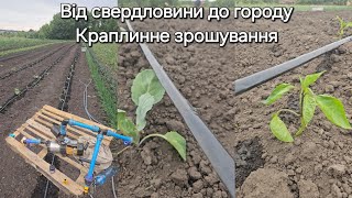 Організація поливу на ділянці. Як поливати часник. Просто про складне в одному відео