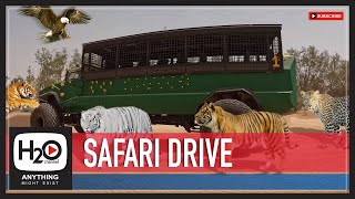 SAFARI DRIVE | Safari Game | Safari Tours | H2O Channel