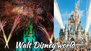 Fireworks and Illumination at Walt Disney World | Orlando, FL