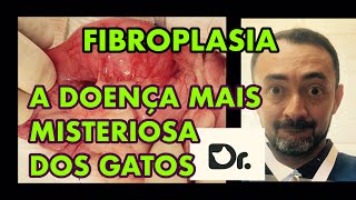 FIBROPLASIA: A DOENÇA MAIS MISTERIOSA DOS GATOS