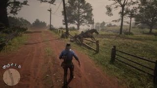 Red Dead Redemption 2 - Crash