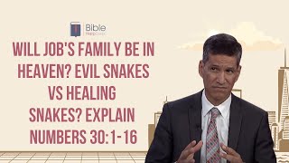 Will Job's family be in heaven? Evil snakes vs healing snakes? Explain Numbers 30:1-16 | BHD