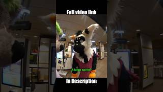 Furries in McDonald’s public reactions. #fursuiters #cosplay #furries #publicreaction #costume