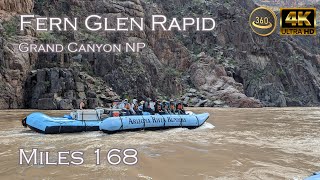 Fern Glen Rapid - Mile 168 - Grand Canyon NP - Colorado River - V360