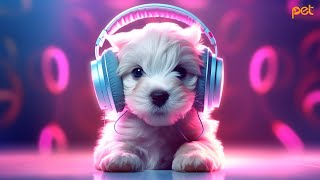 24 HOUR - Soothing Music helps Dogs Calm, Relax and Sleep Easily | Music Therapy for Dogs