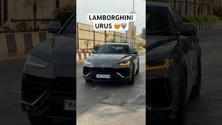 Lamborghini Urus 😍🩶 #lamborghini #urus #supercars