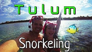 Snorkeling en TULUM - CHAMICOS Restaurante - QUINTANA ROO