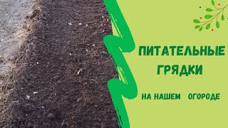 👌Питательные грядки на нашем огороде. Затрат никаких , а польза великая