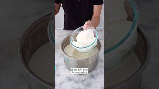 Thick and Creamy Yogurt