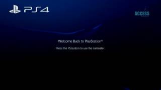 Playstation Startups PS4