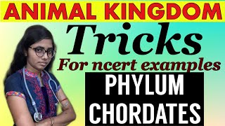 neet 2021 || Animal kingdom || Tricks for animal kingdom || phylum chordates || #neet #neet2021