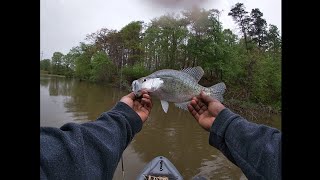 Crappie Fishing How To PT. 3 || Fishing in the Rain #fishing