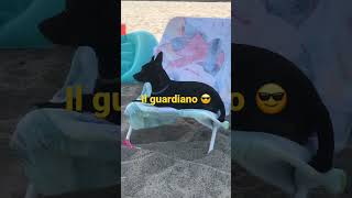 Il guardiano 🏖🐕