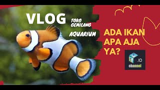 VLOG DAN REVIEW TOKO AKUARIUM BESAR DI GARUT GEMILANG AQUARIUM ADA IKAN APA SAJA YA?