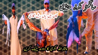 Live interview Longo ka shath || Bakra Mandi Sanghar Ma Latest updates