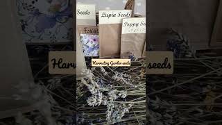 Harvested Lavender and Garden seeds, made into packages with recycled brown bags.