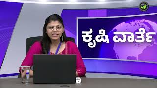 ಕೃಷಿ ವಾರ್ತೆ 30-09-24 |Agriculture News|Non Basumati Export | GMO Crops| BT Cotton | Kashmir Election