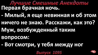 Об этом... ничего не знаю. Лучшие смешные анекдоты  Выпуск 1095