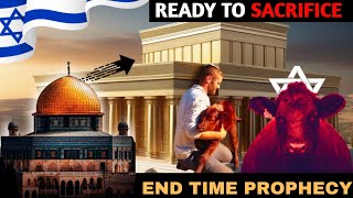 Israel sacrificing Red heifers in April | Third temple | End time prophecy | Jerusalem