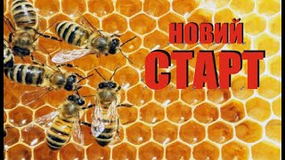 Новий старт для моєї пасіки