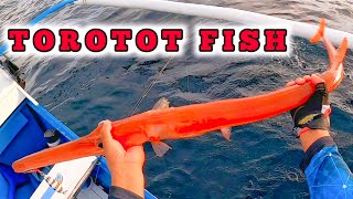 BIG TOROTOT FISH AND AMBERJACK  IN SLOW JIGGING